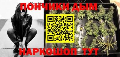 индика Ливны