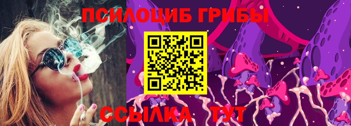 Чайковский  Псилоцибиновые грибы Cubensis  Вход с VPN  Галлюциногенные грибы Magic Shrooms 
