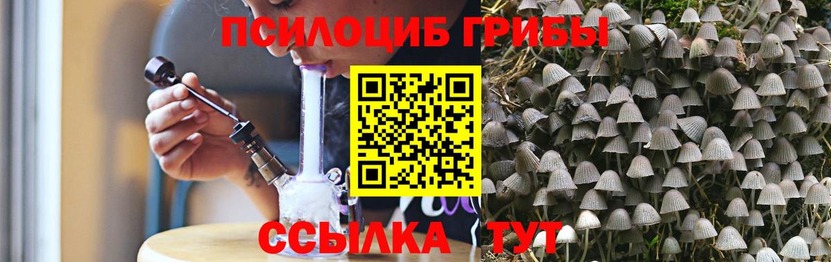 Псилоцибиновые грибы MAGIC MUSHROOMS Чайковский